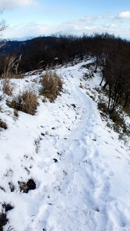 e0024081_13001285.jpg