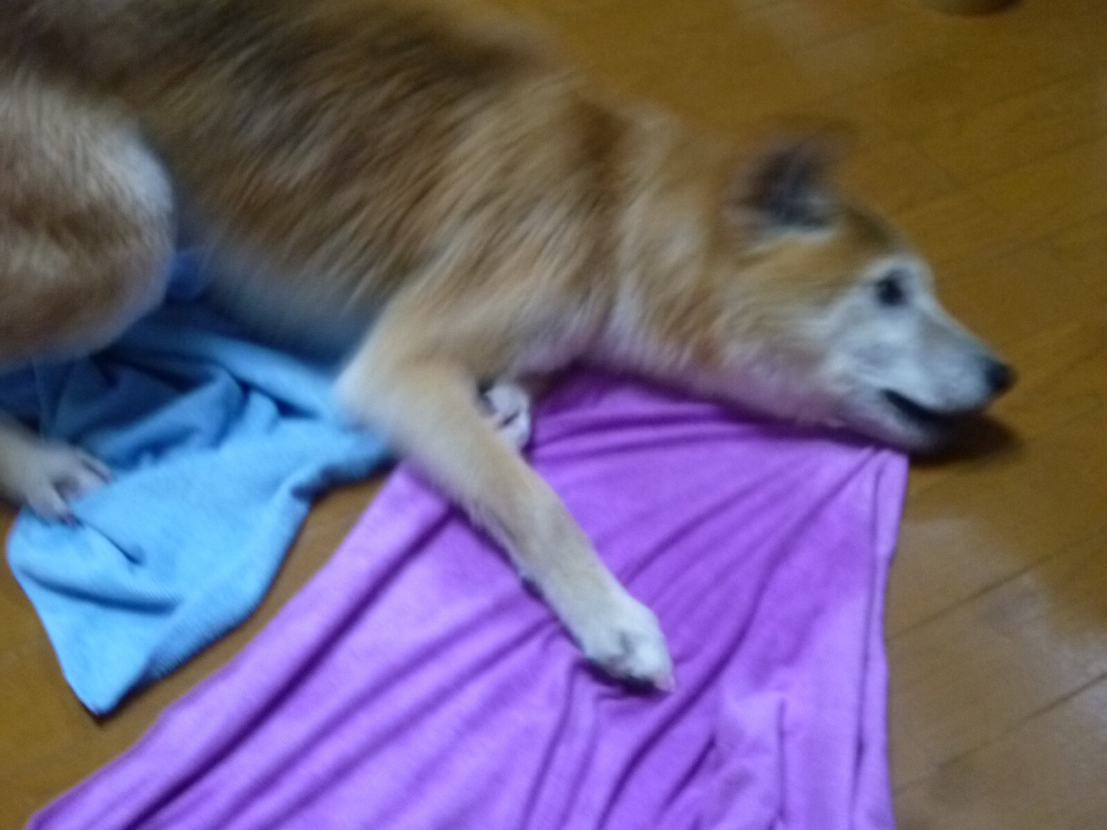 c0123890_22461871.jpg