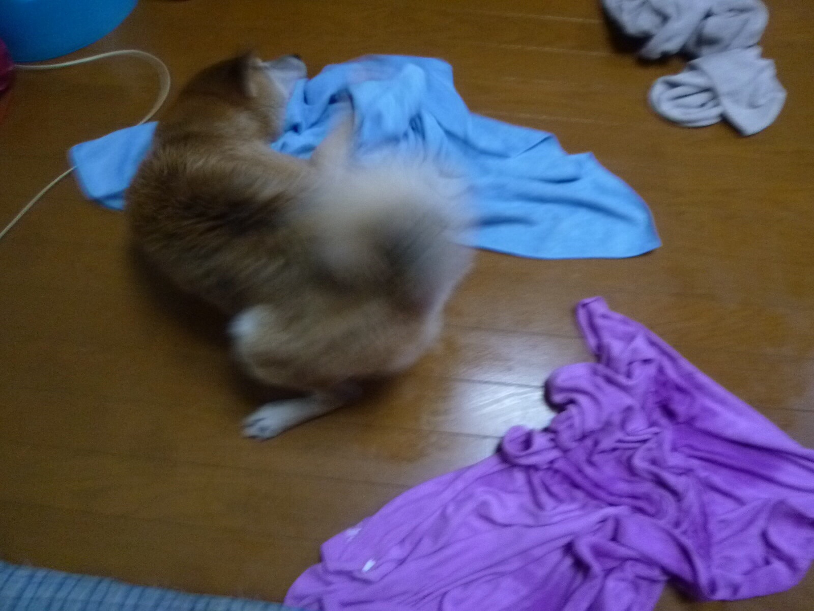 c0123890_22463983.jpg