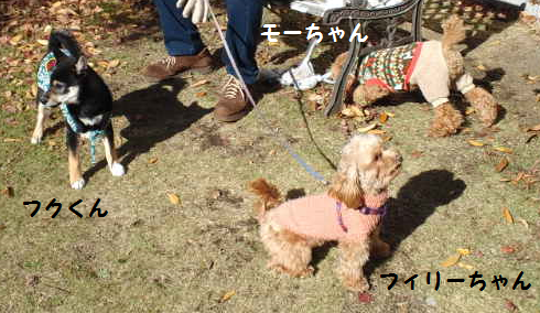 d0282395_22181629.png