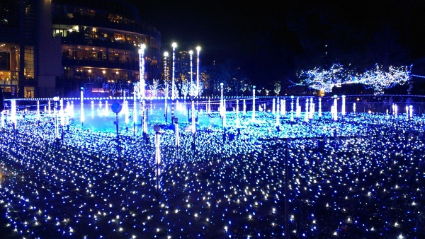 e0023895_2022029.jpg