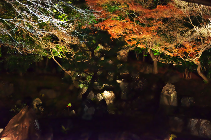 a0263109_12323640.jpg