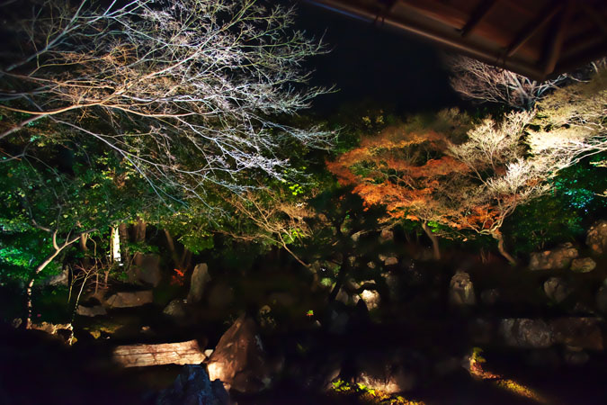 a0263109_12324280.jpg
