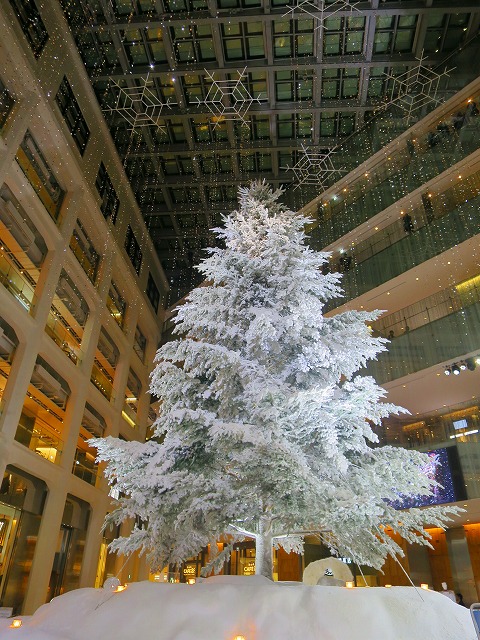 e0121110_22204882.jpg