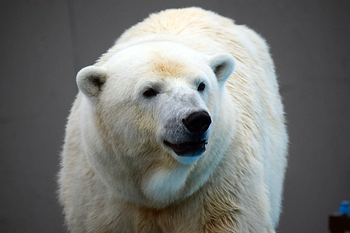 a0151913_1615853.jpg