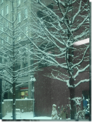a0114514_19395010.png