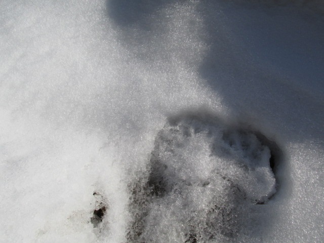 f0341616_06571540.jpg