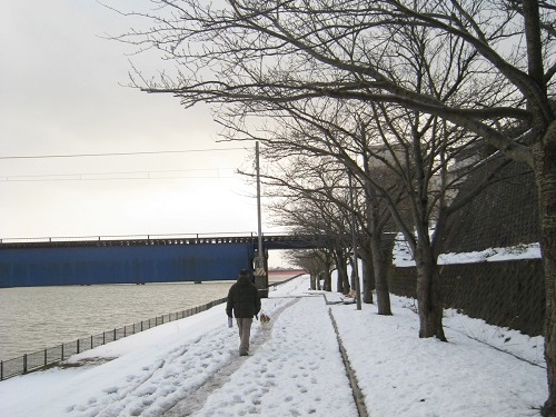 c0084117_180589.jpg