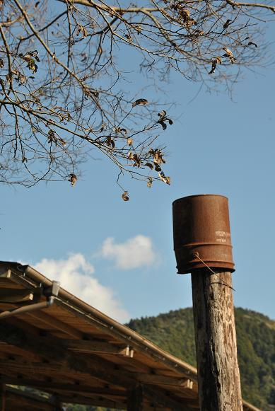 b0129725_17450874.jpg