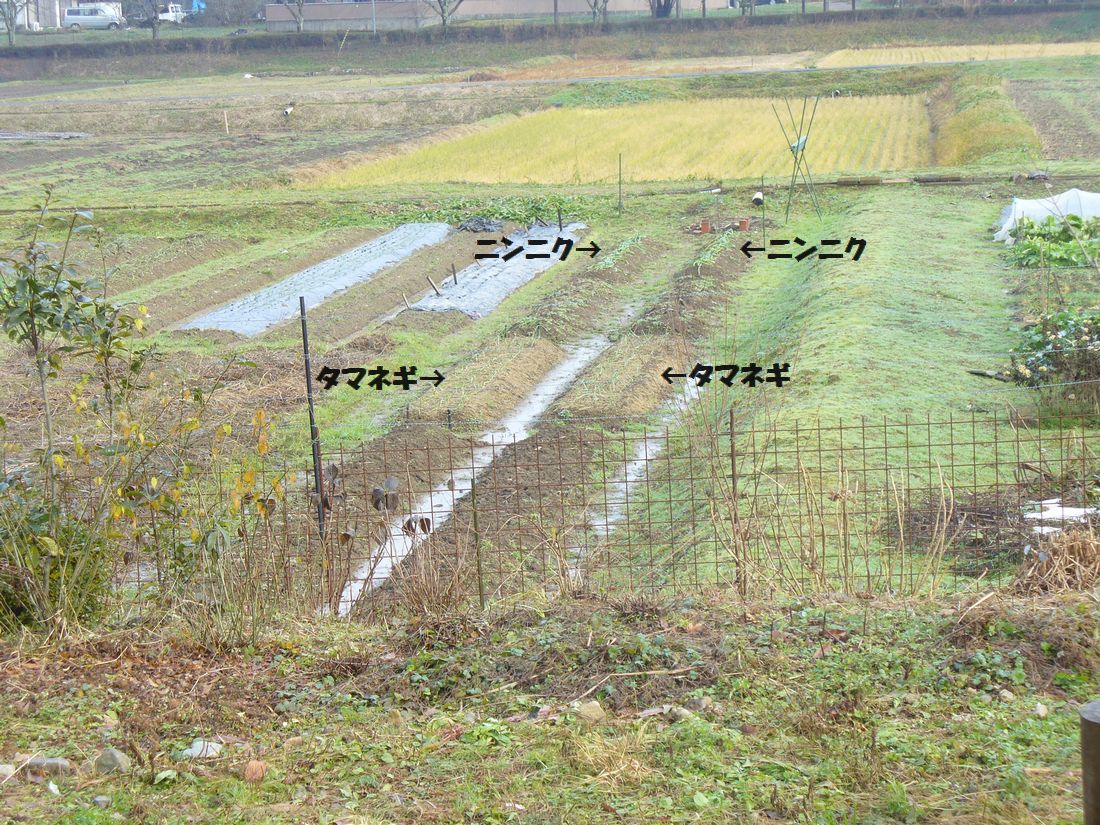 f0346527_1856149.jpg