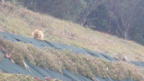 c0300035_1646019.jpg