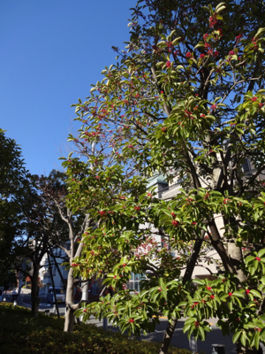 f0141840_01392838.jpg