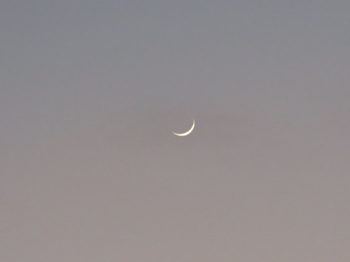 f0319441_20251198.jpg