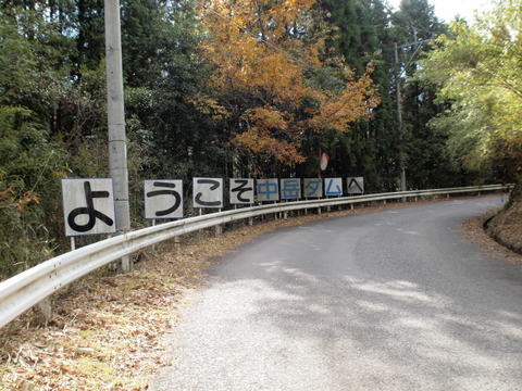 b0199742_22422745.jpg