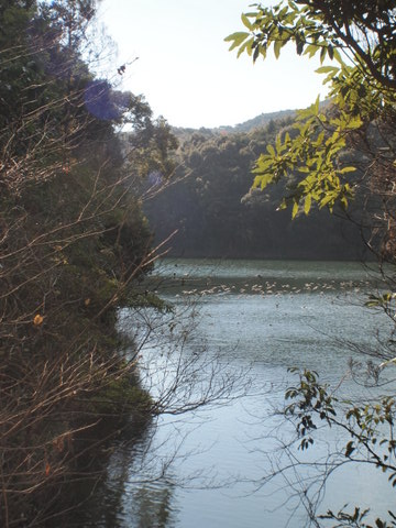 b0199742_22495829.jpg