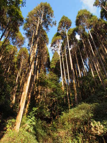b0199742_22553399.jpg