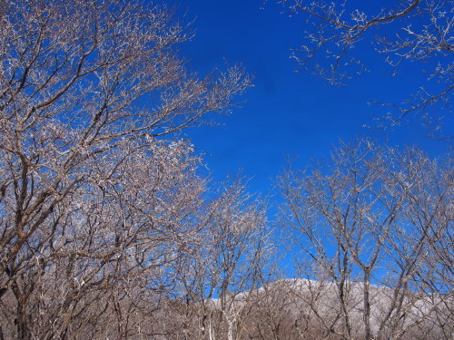 b0335256_23003241.jpg