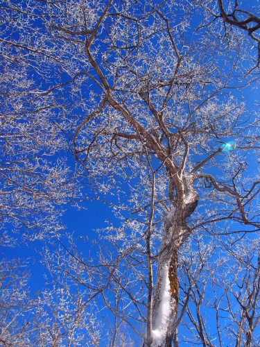 b0335256_23010154.jpg