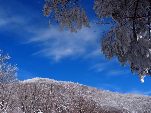 b0335256_23033490.jpg