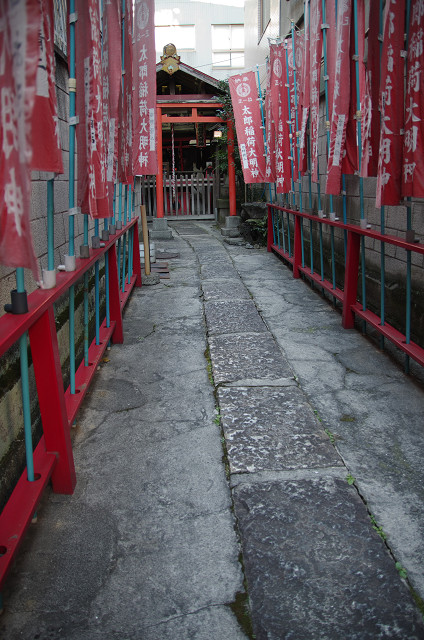 c0080357_943479.jpg