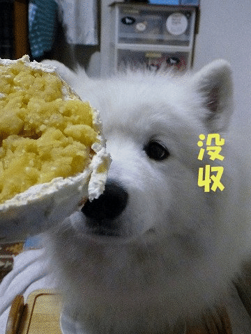 e0176159_21331254.gif