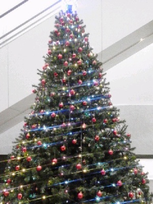c0190960_21121115.jpg