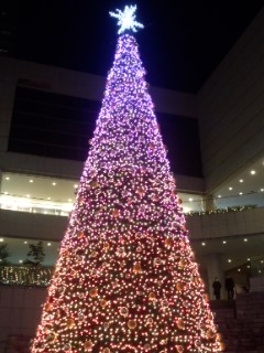 f0112873_22574098.jpg