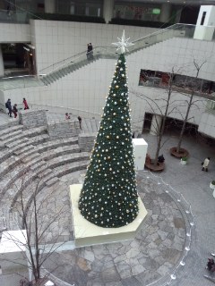 f0112873_2361553.jpg