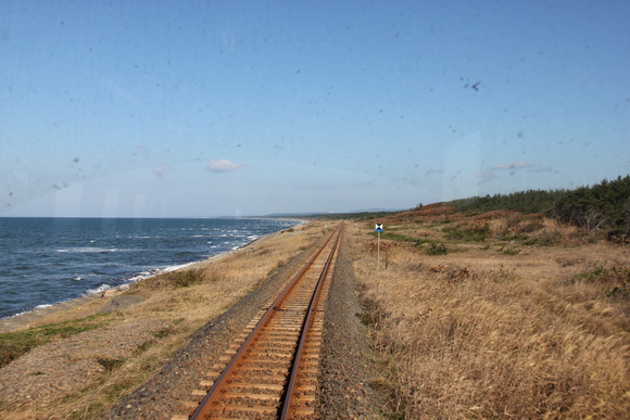 d0187275_113774.jpg