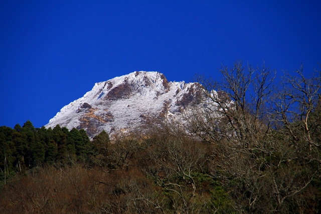 d0126577_15575475.jpg