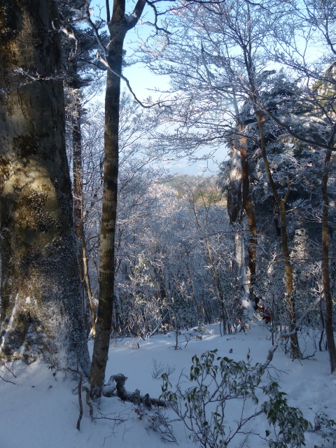 f0357487_23372698.jpg
