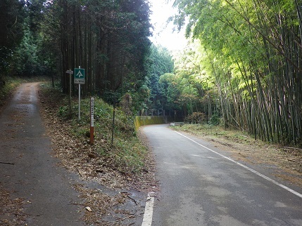 e0048994_10451153.jpg
