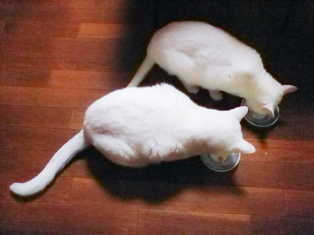 f0239100_22105324.jpg