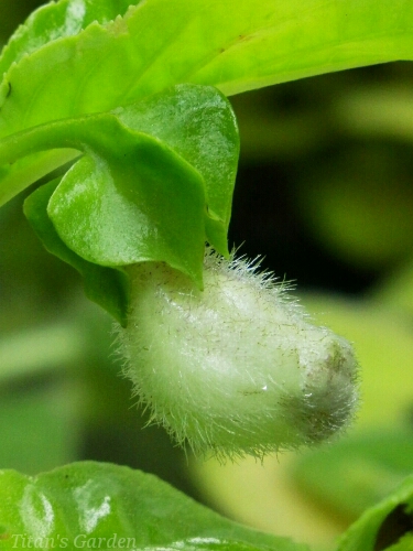 b0099813_041665.jpg