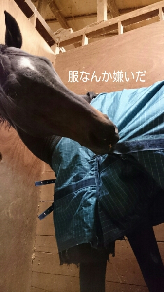 b0187620_21385524.jpg