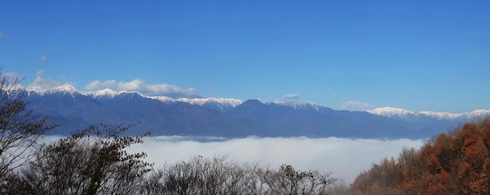 f0162720_1444228.jpg