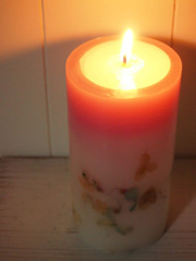 c0188928_1402141.jpg