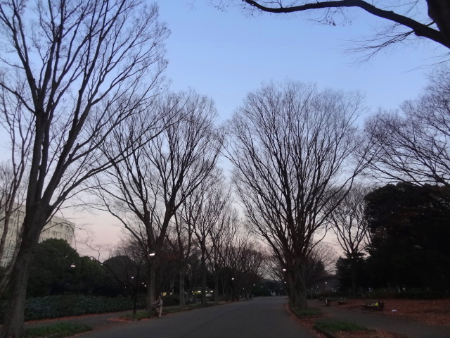 e0016828_118454.jpg