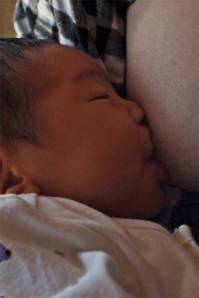d0029829_2004521.jpg