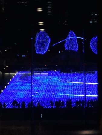 c0177332_22124502.jpg