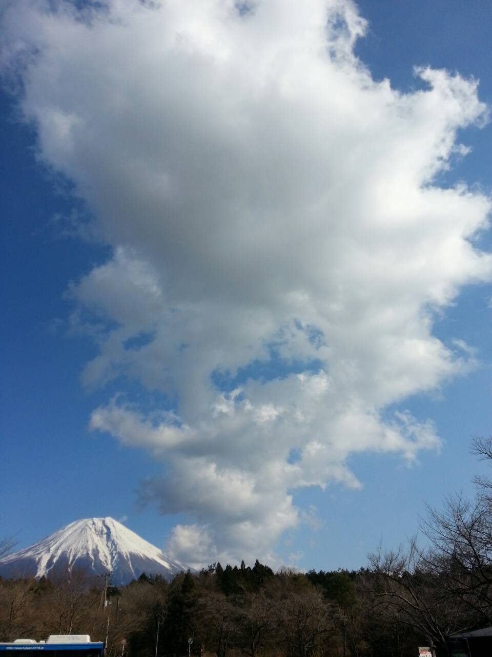 b0334633_15334274.jpg