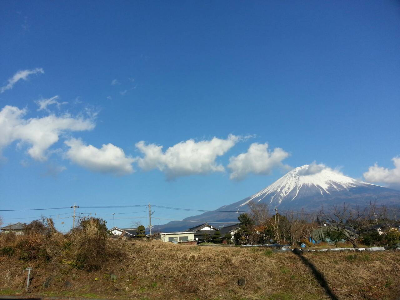 b0334633_15334765.jpg