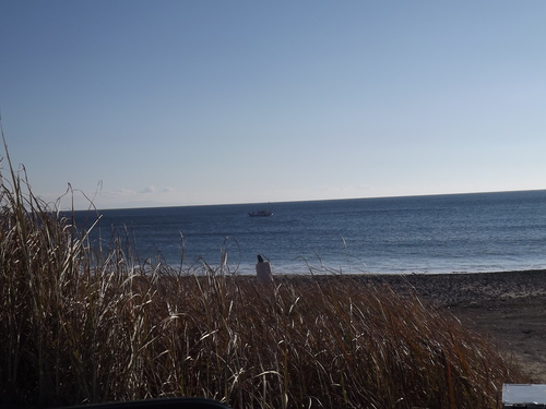 f0248337_854673.jpg