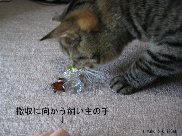 f0247039_10311486.jpg
