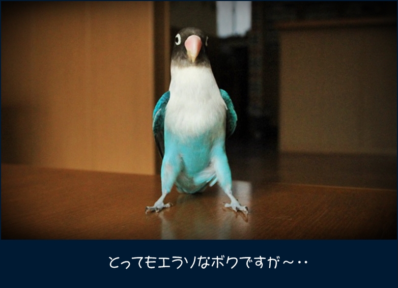 c0145250_1643692.jpg