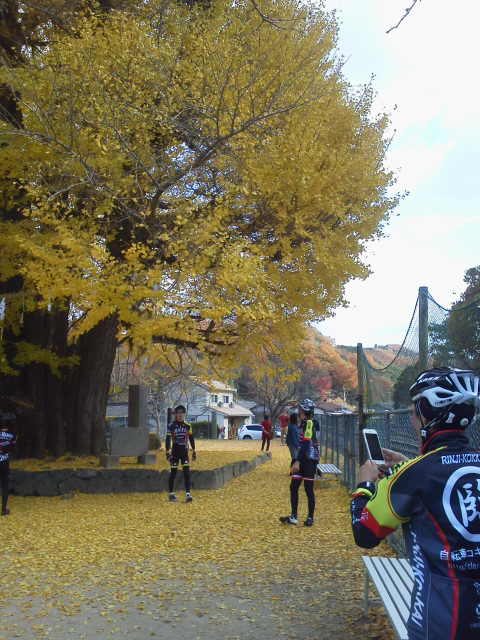 c0214359_0112453.jpg