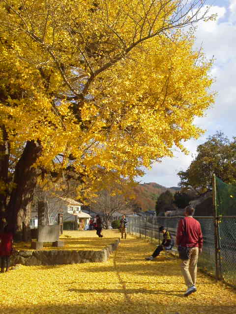 c0214359_0113939.jpg