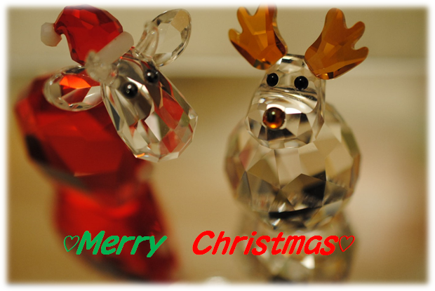 b0242873_14175392.png