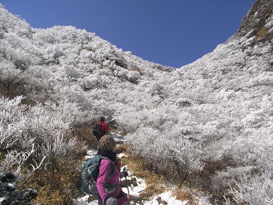 f0187402_21422793.jpg