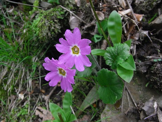 f0187402_21425912.jpg